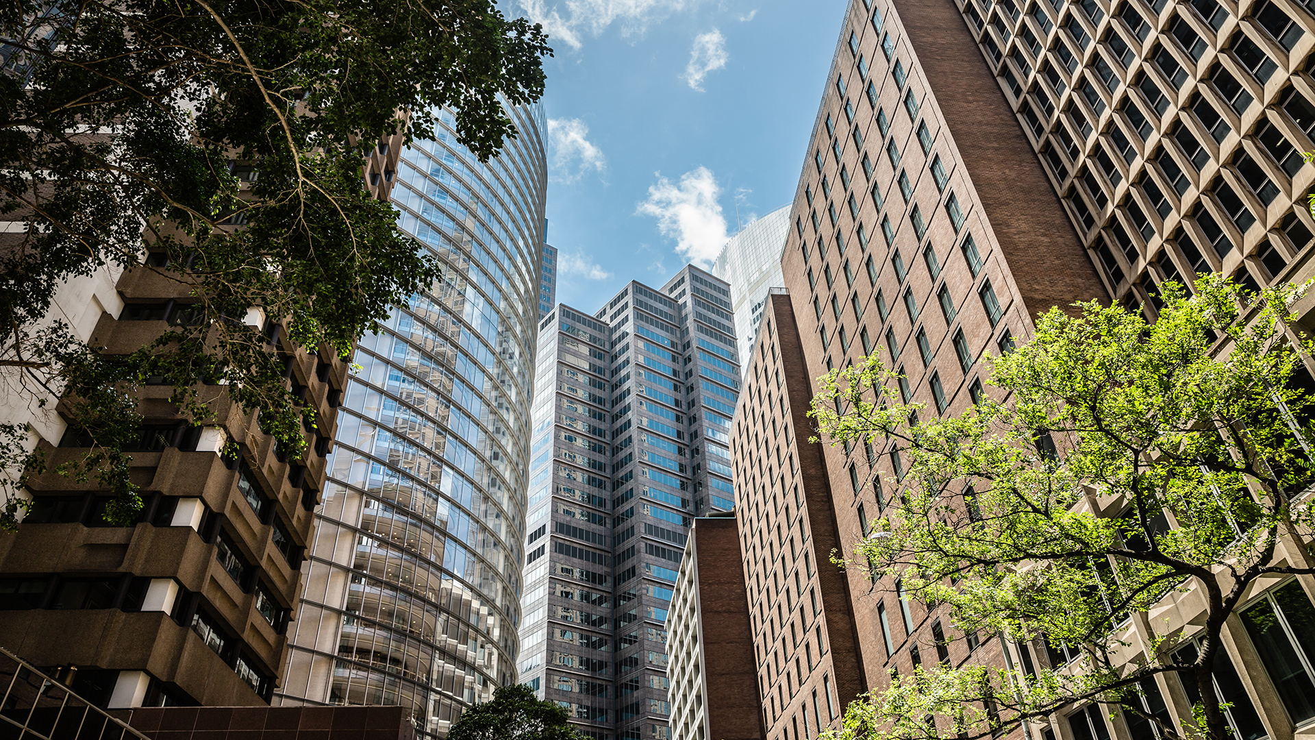 Sydney CBD Background Image in Spring with Blue Sky, Clouds and Trees
