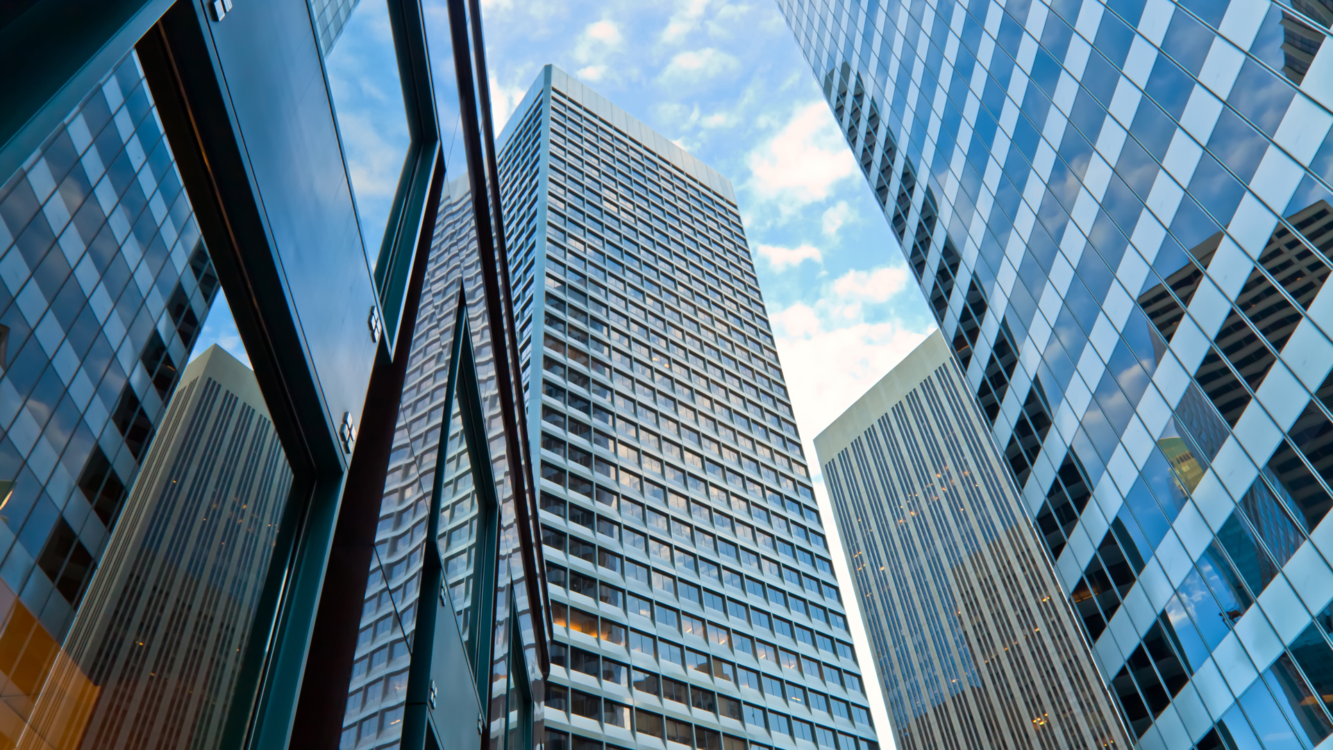 Sydney CBD Commercial Buildings on a spring day